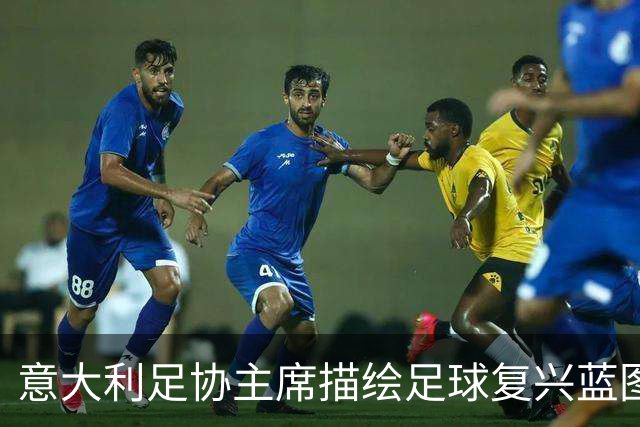 意大利足协主席描绘足球复兴蓝图，聚焦青训与归化